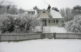 Artists Beach House 7