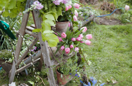 Brenley Farmhouse 7