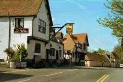 The Dog Inn 1