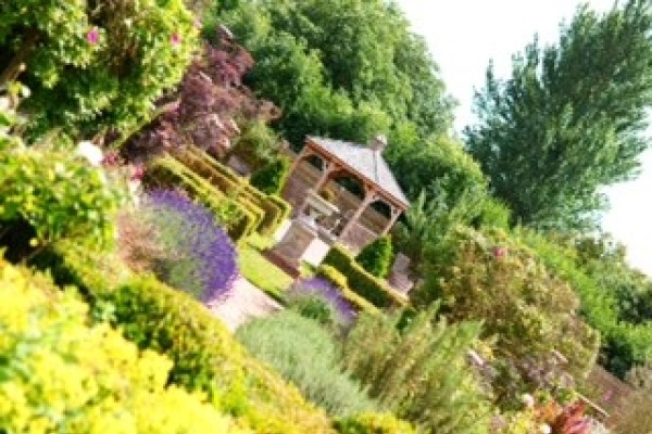 The Swan Wine Kitchen 1
