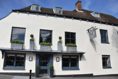 The Swan 1