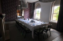 The Swan 7