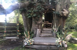 Kingdom IMG 7335 2
