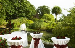 Marriott Tudor Park Hotel 2