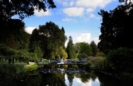 The Orangery 3