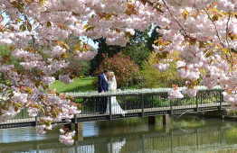 The Orangery 6