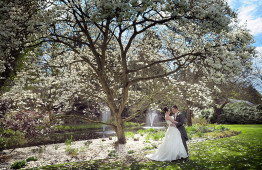 The Orangery 8