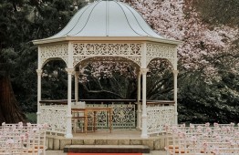 cherry blossom