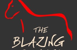 The Blazing Donkey Country Hotel 7