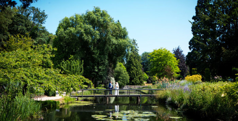 akw 21 The Orangery Maidstone Dan Potter Photography 